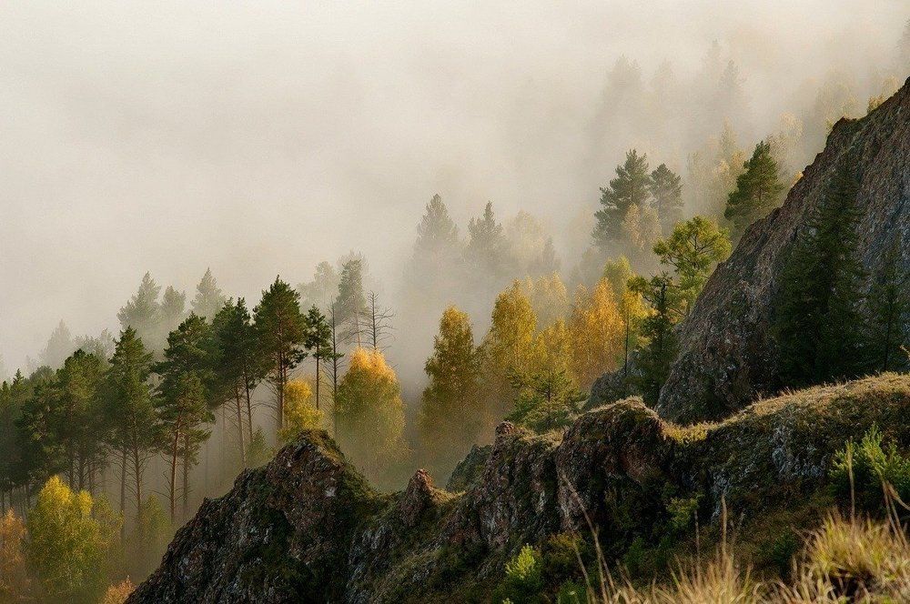 С первыми лучами.