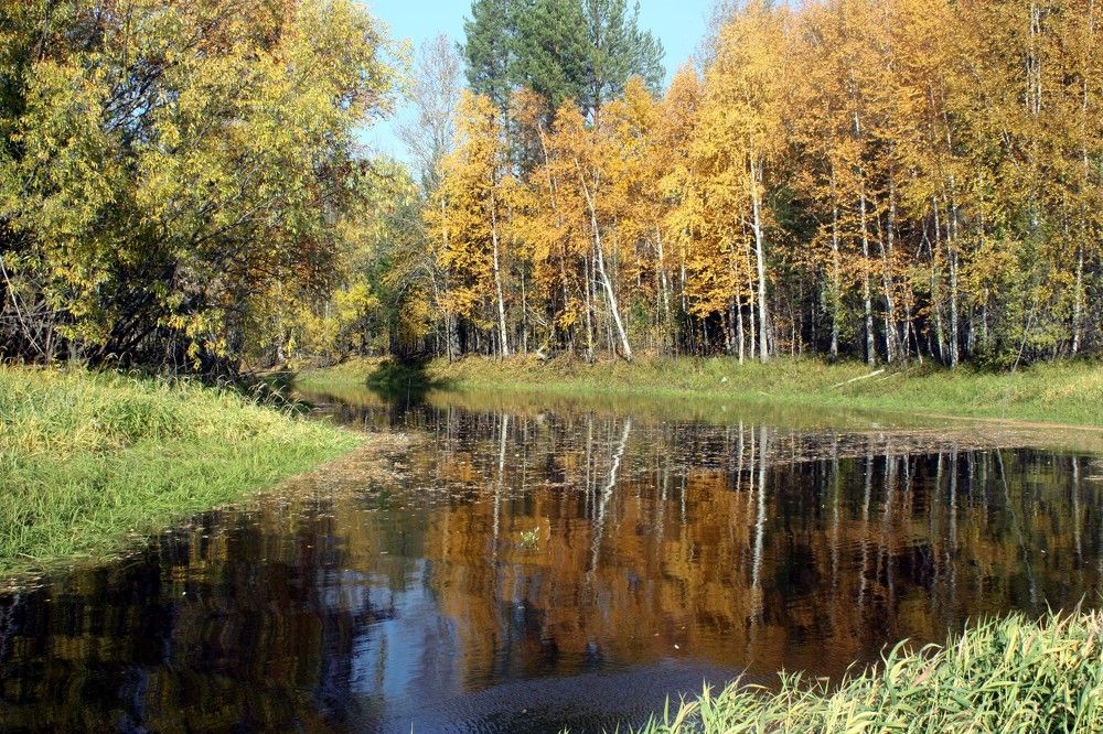 Скоро осень.
