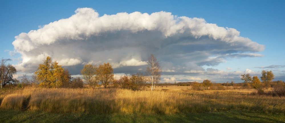 Осенний пейзаж из дачной калитки