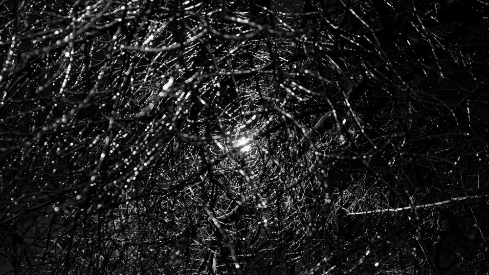 Хрустальные оковы