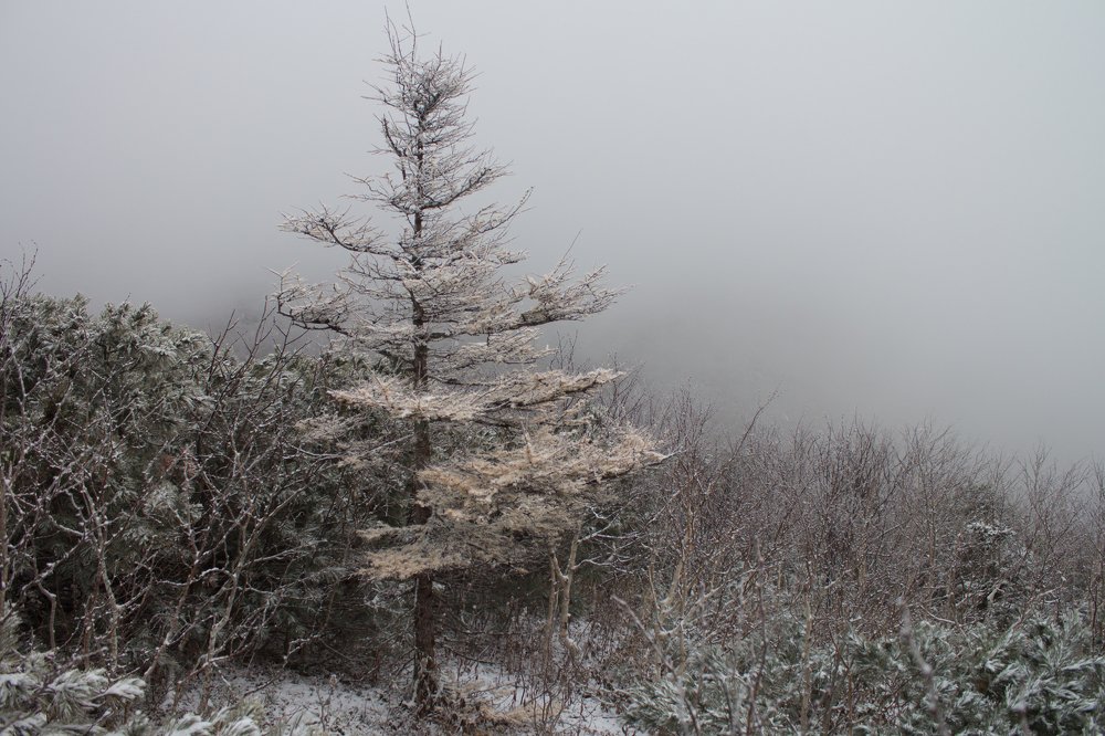 Утро туманное...