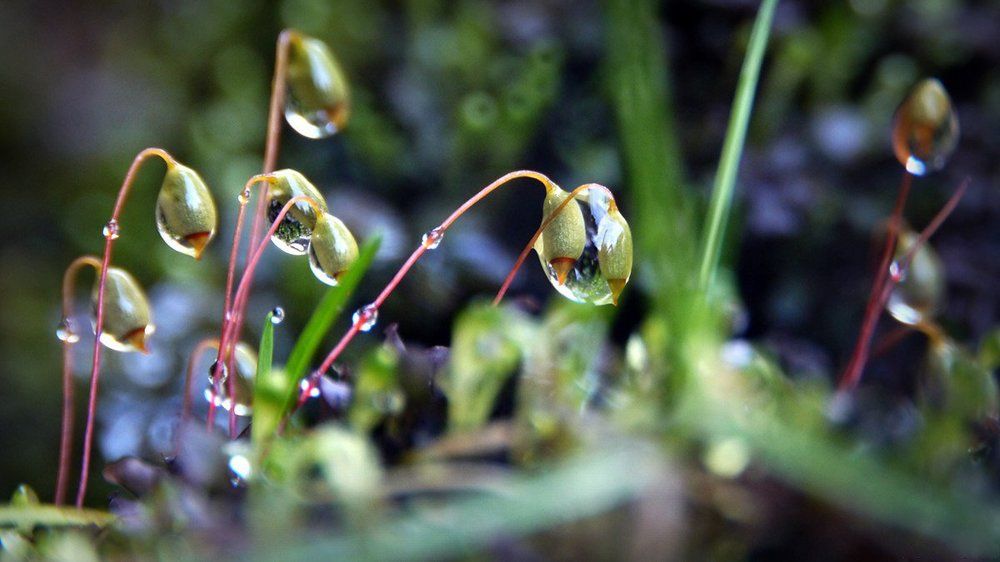 Фотография автора Дарина Соболь