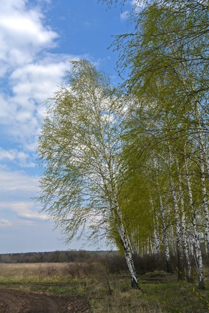 Ранняя весна