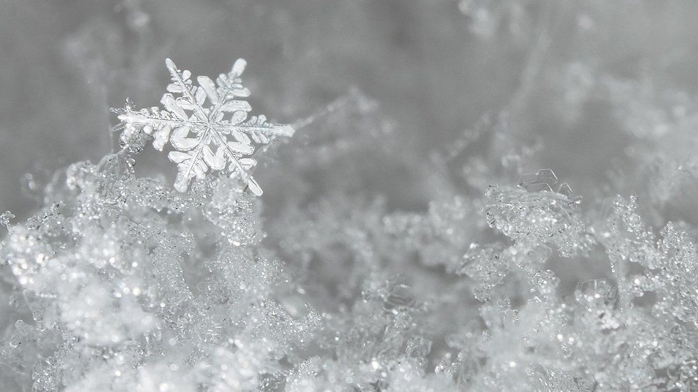 Ледяная звёздочка