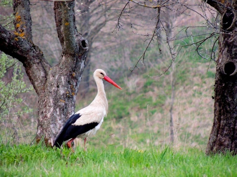 Photograph by Marina Persanova