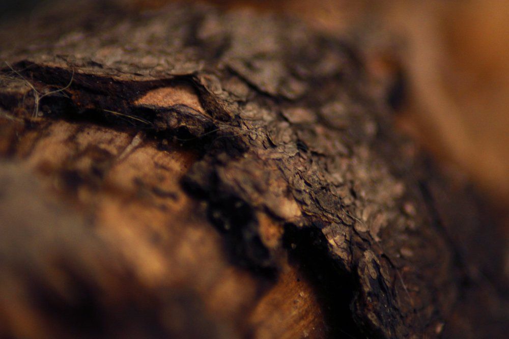 Воспоминание о теплых днях..