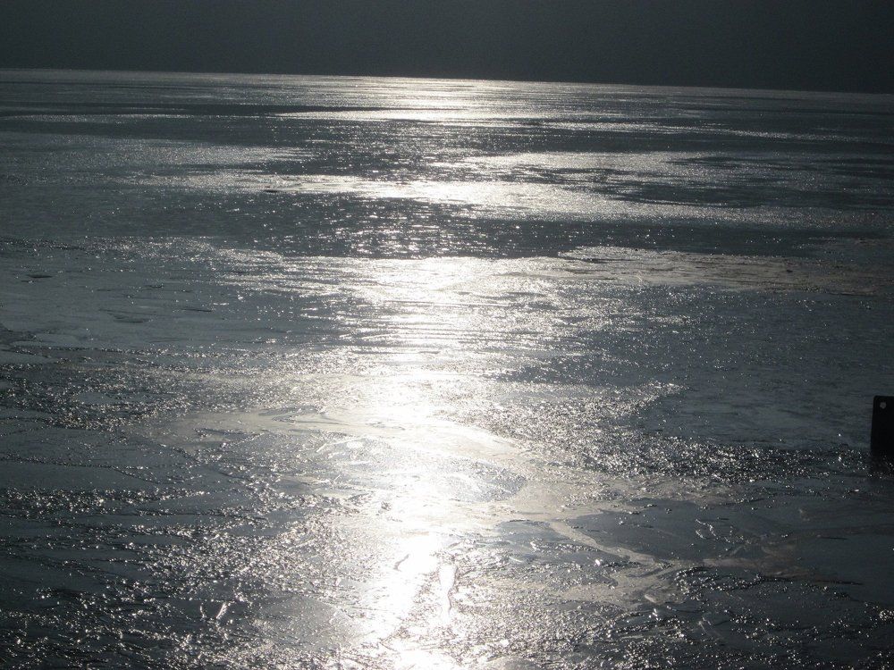Павловское водохранилище, ноябрь
