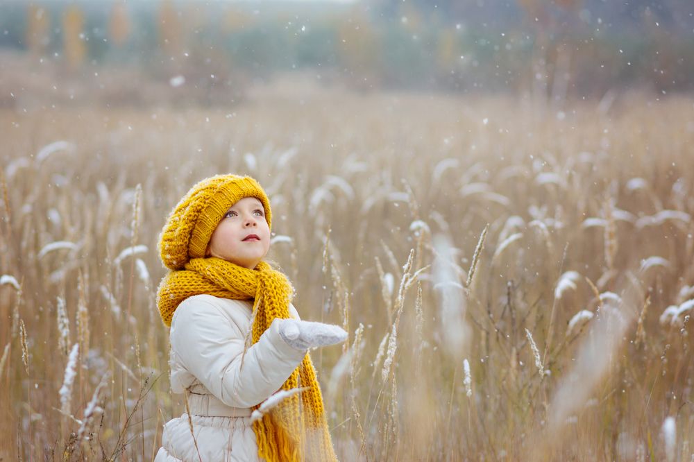 Первый снег