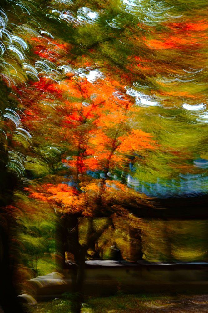 Times Cures All Things 16