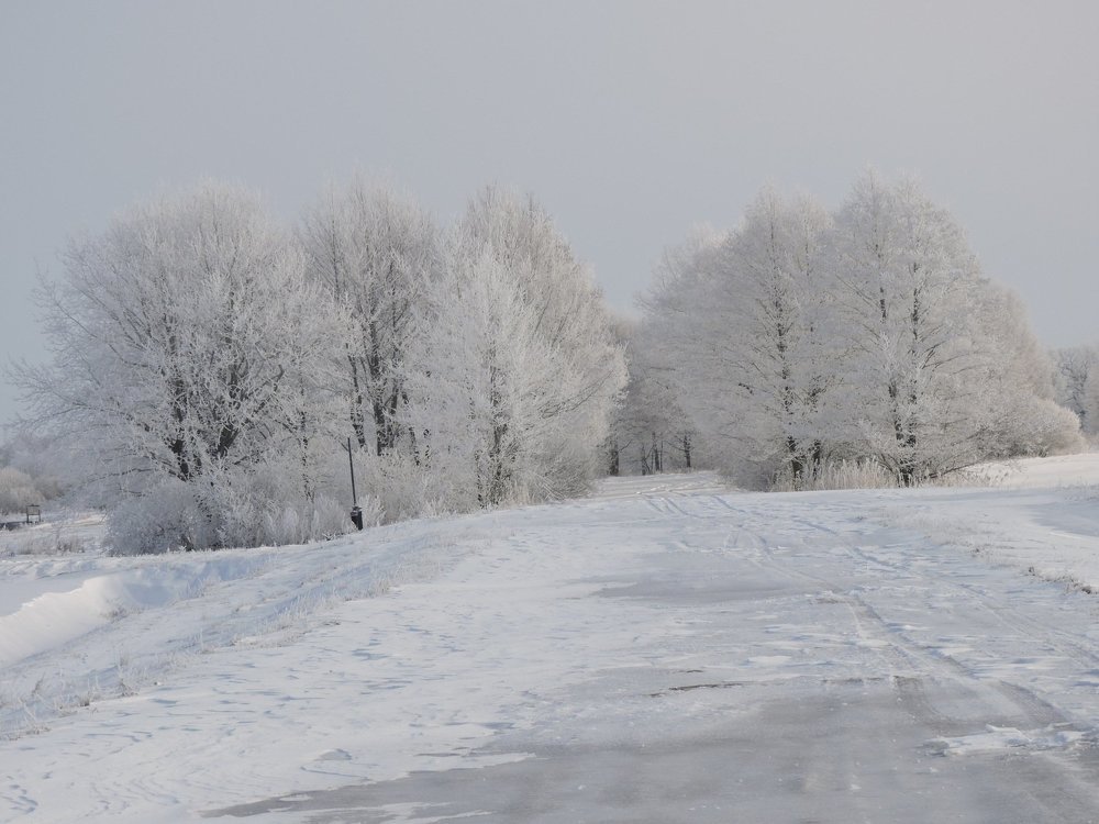 Зимняя сказка