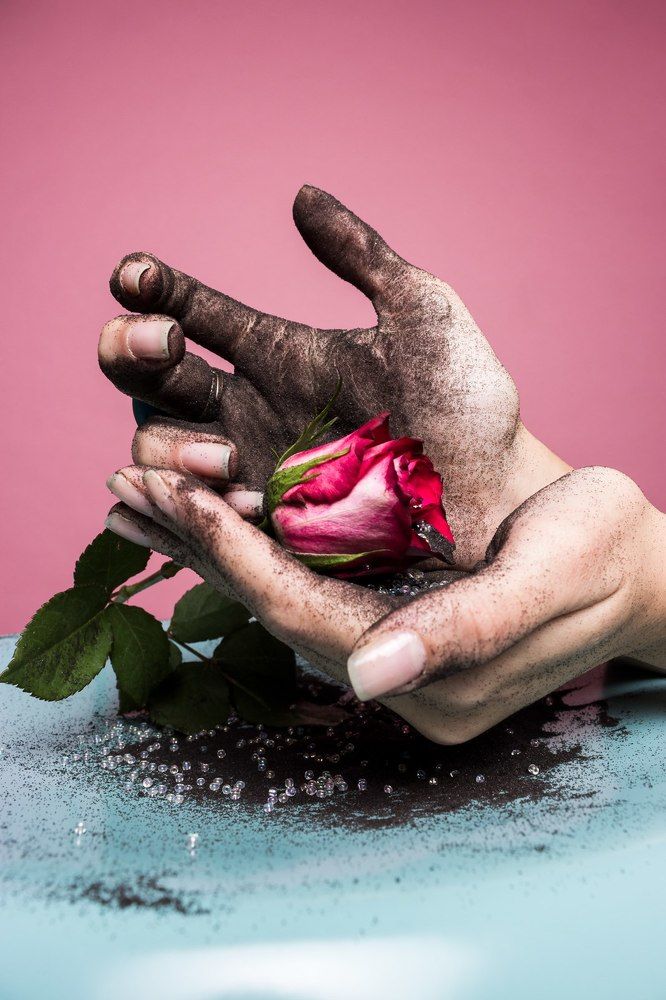 Black sands with rose