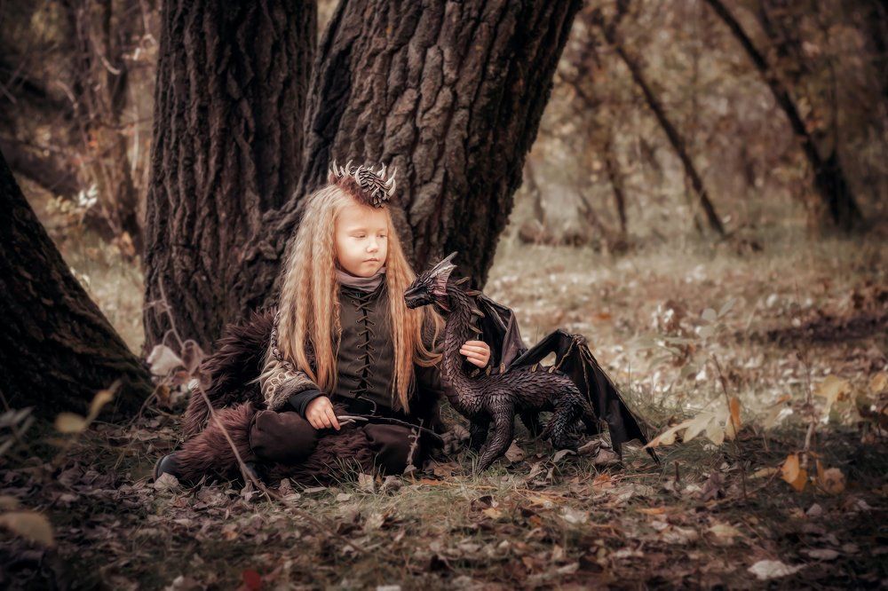 Сага о Викинге и его верном Друге