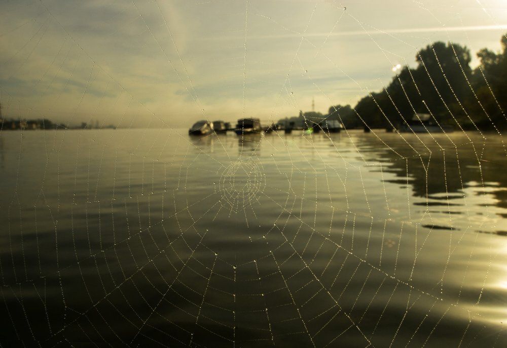 Как осени последний вздох