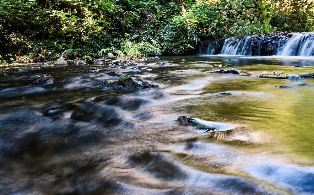Утренний свет