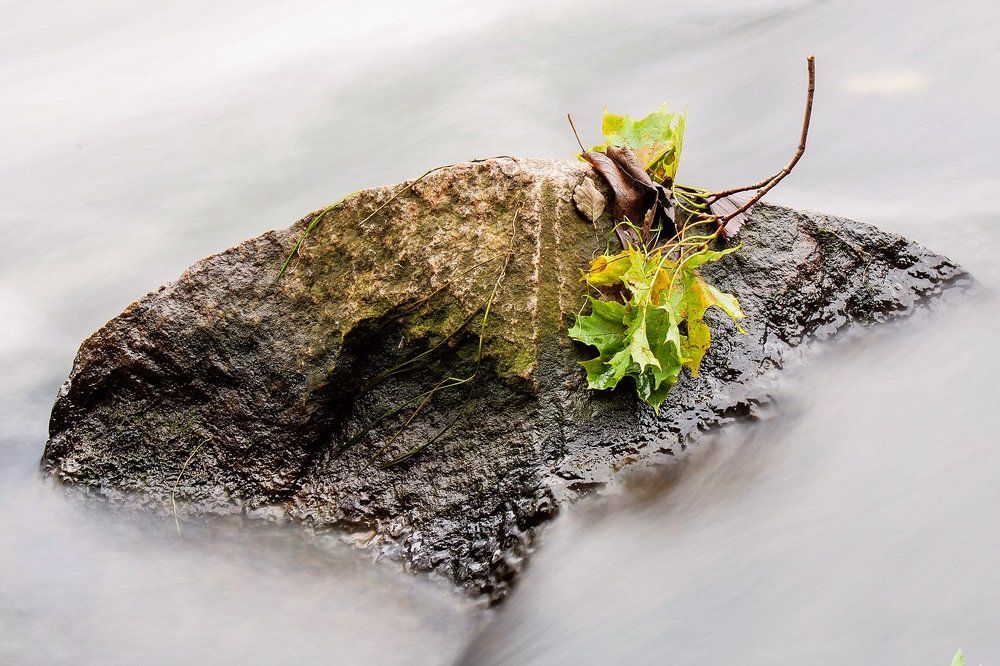 Поток времени
