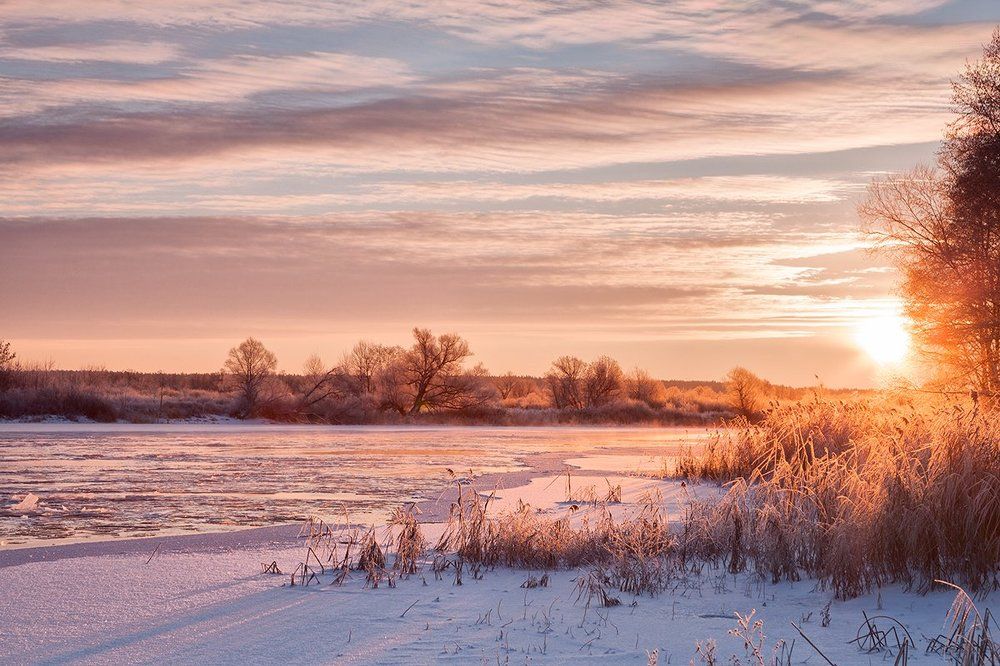 Мороз и солнце...