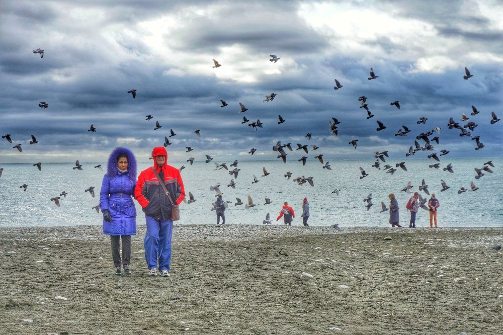 Любовь и голуби