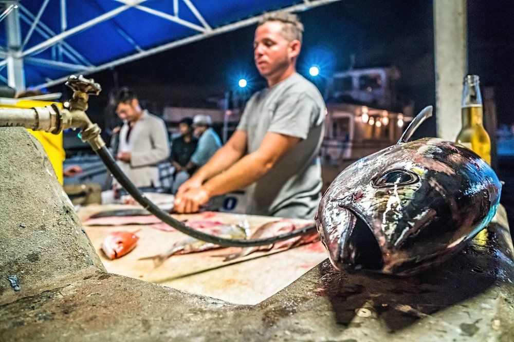 Рыбный рынок. Haulover Park. Miami