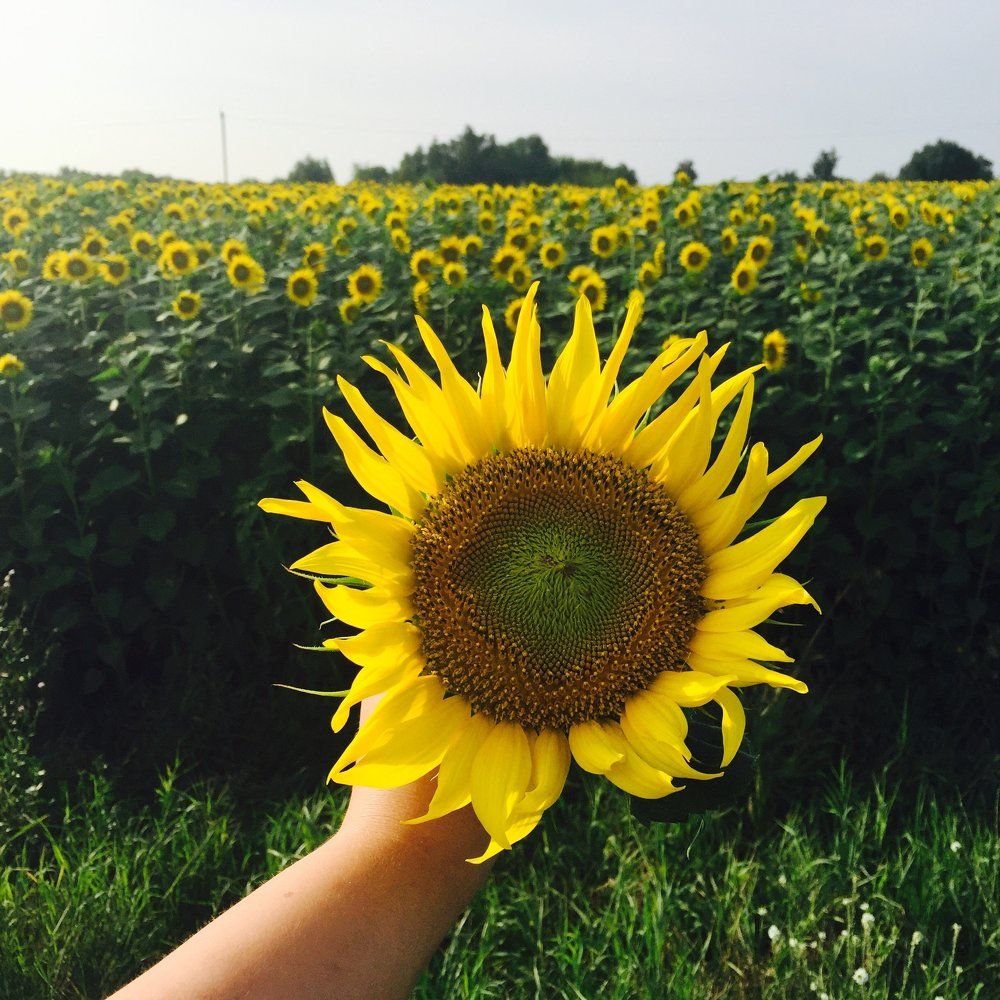 Photograph by Анна Алонцева