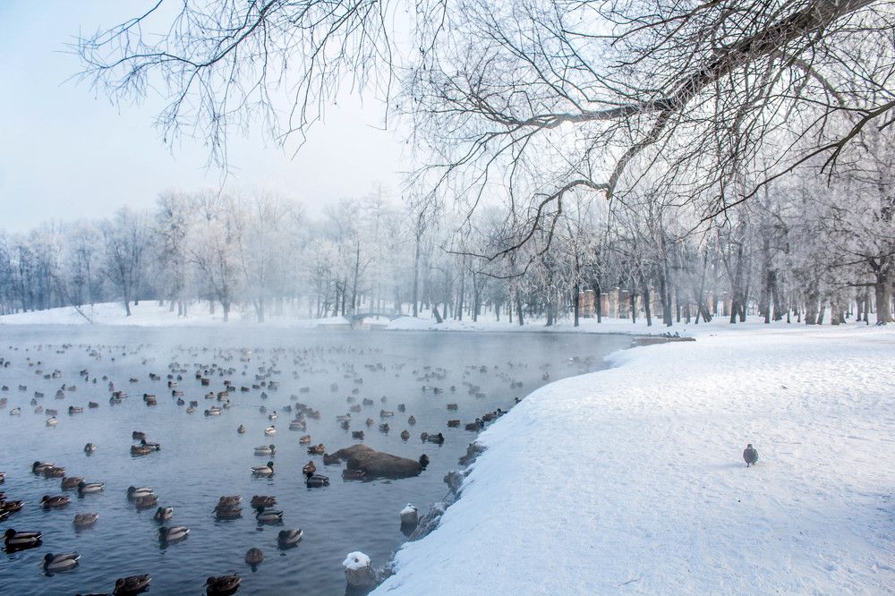 Мартовское утро