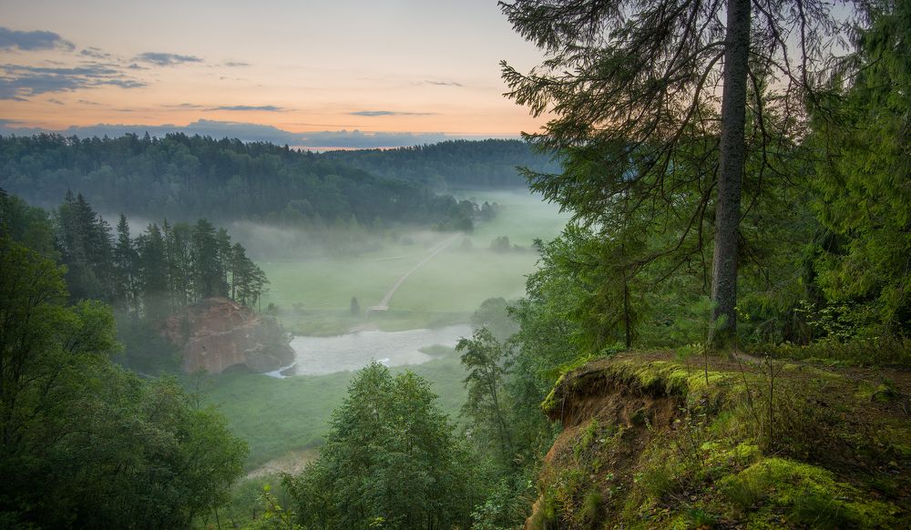 Туманное утро