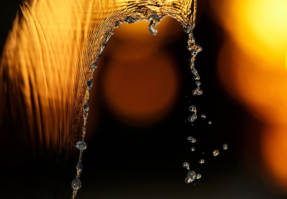 Жизнь на просвет