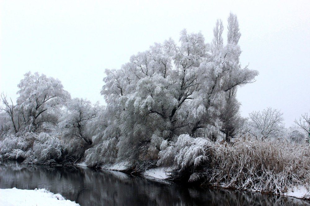 Photograph by Колесник Татьяна