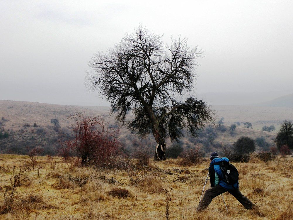 A Shooting Of The Moment