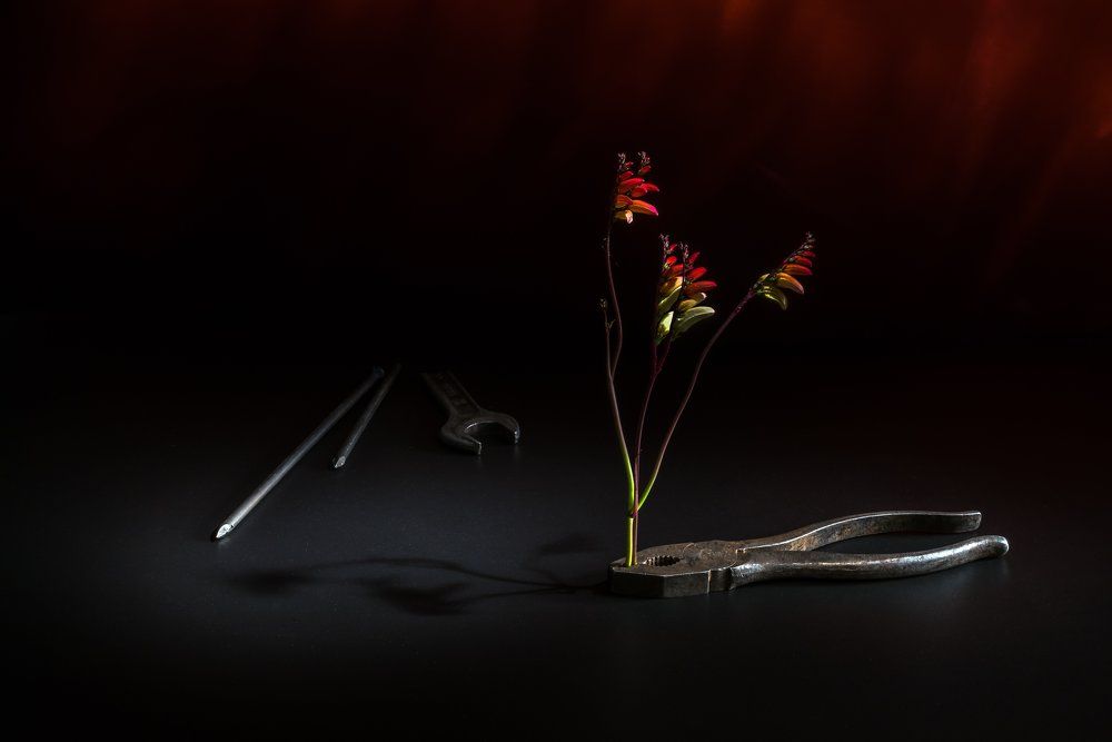 Инструменты и цветы: Пасатижи