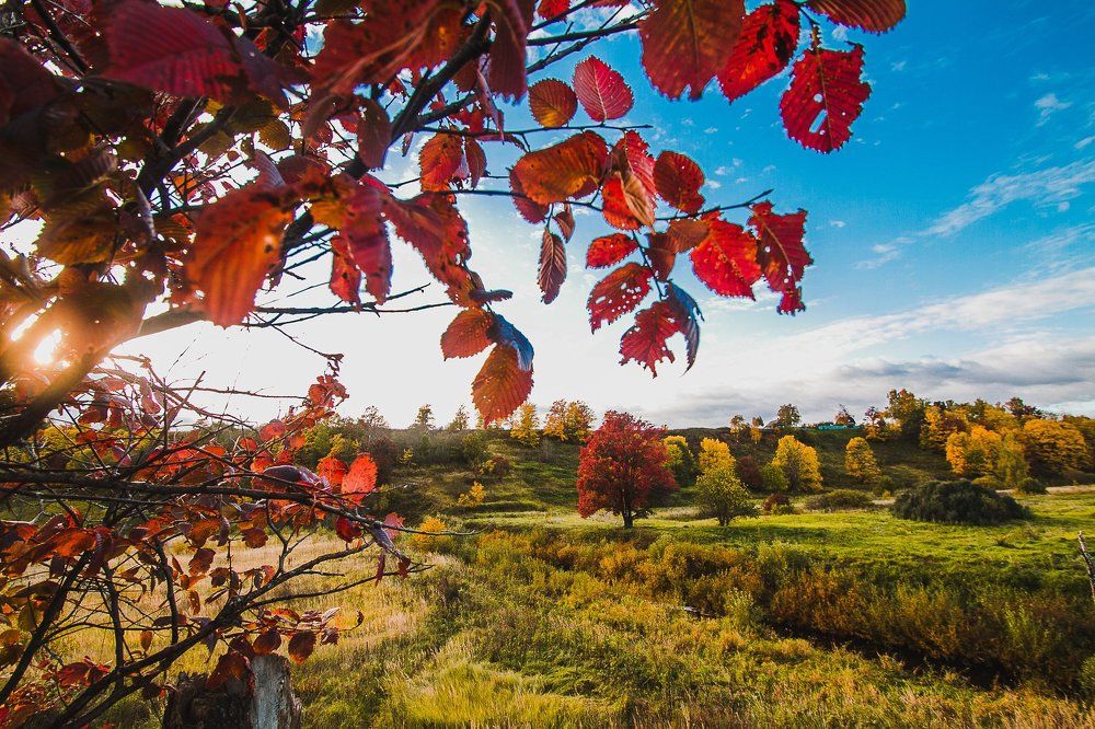 Золотая осень