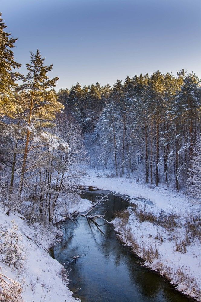 зимний день у реки
