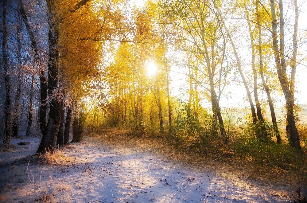 Слияние времён