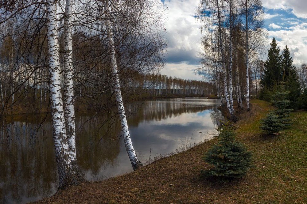 Речушка Ия среди белоствольных берез