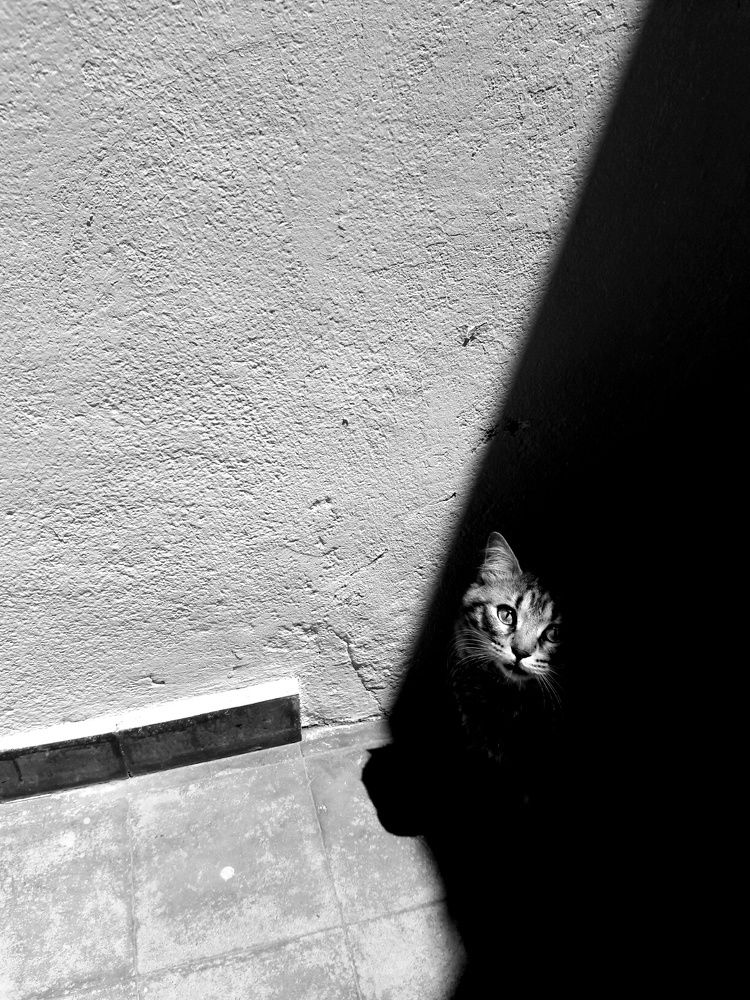 El lado oscuro de Fidel/the dark side of Fidel