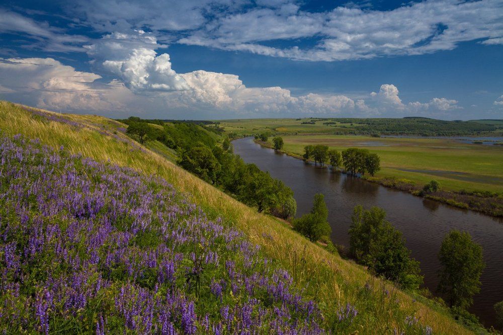 Луговые цветы, голубая река – настоящее чудо природы...