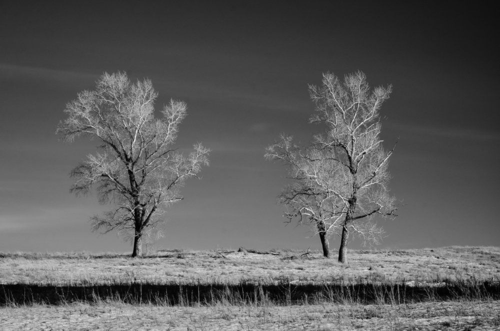 в инфракрасном цвете