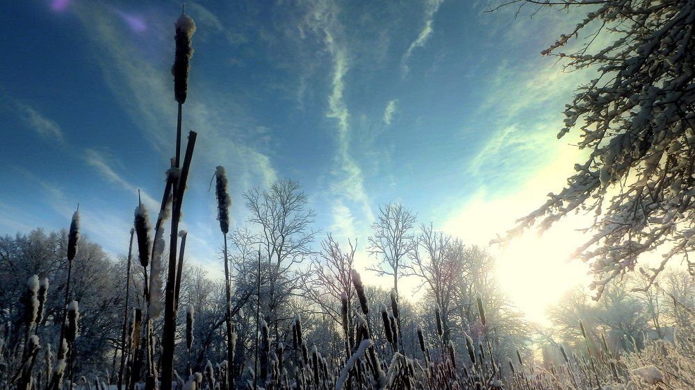 Зима в Литве 1