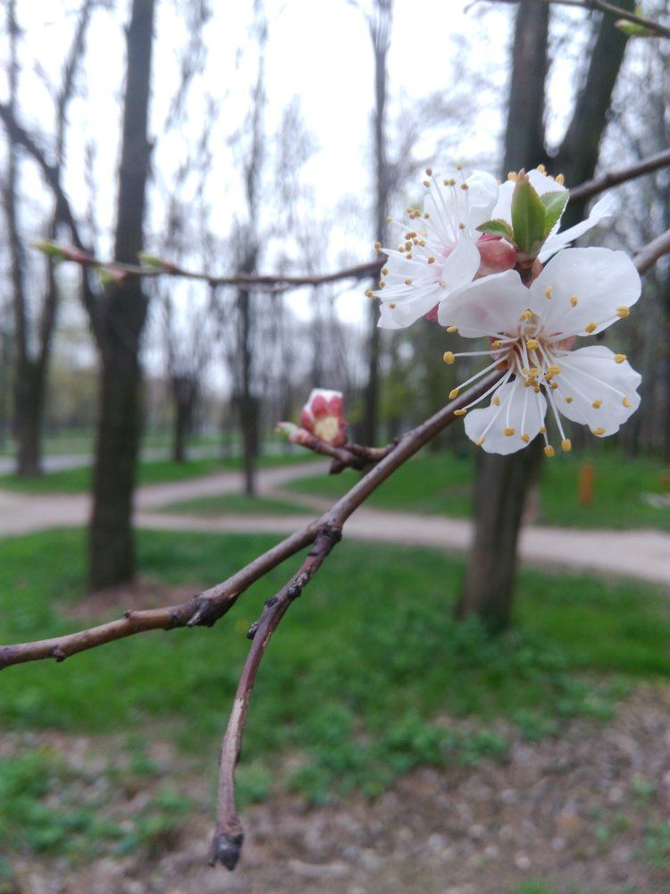 Photo #1554574