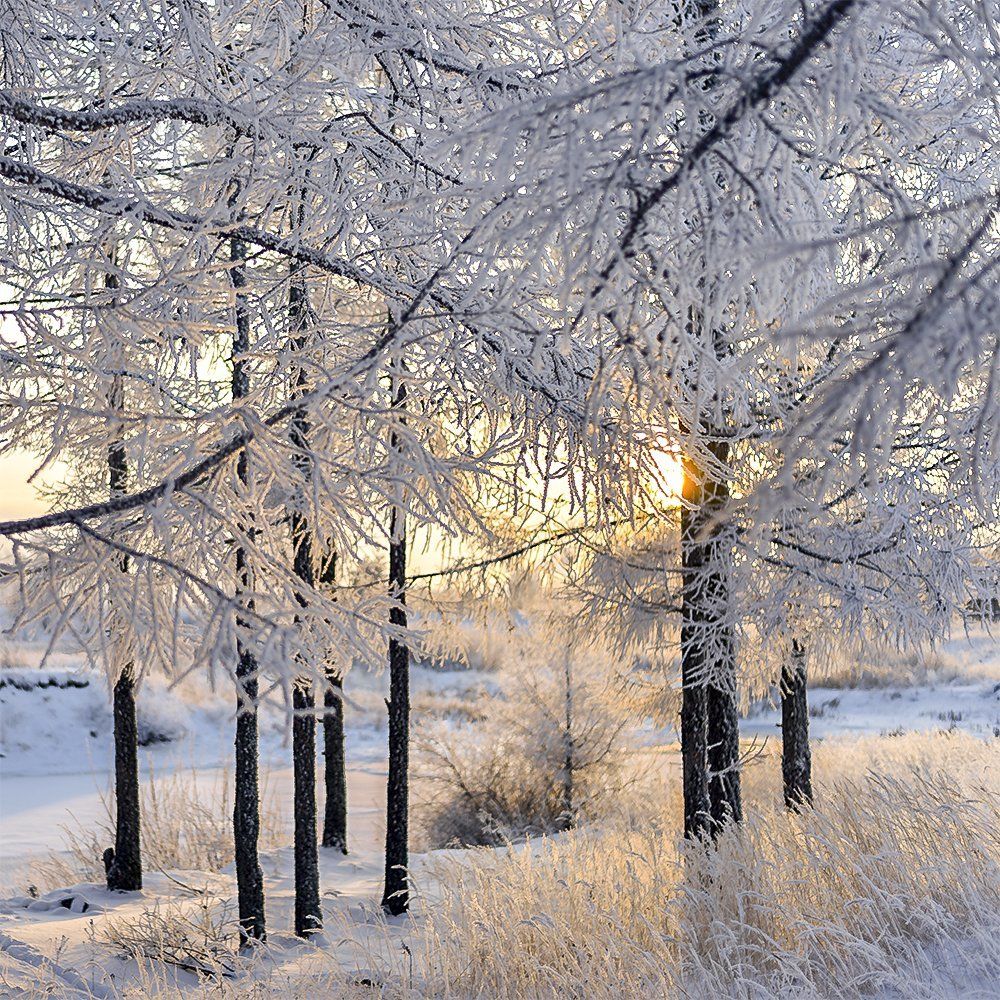 Красота природы