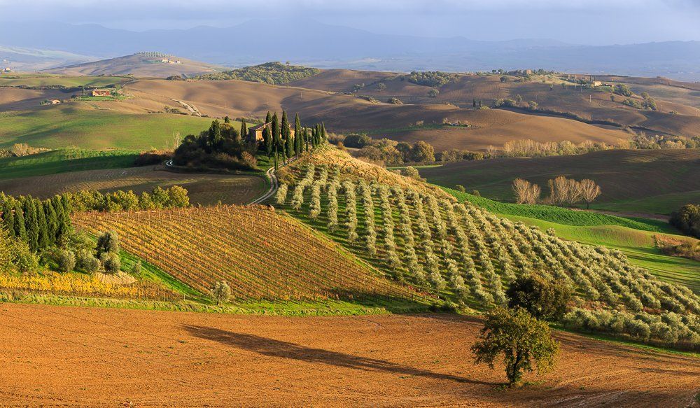 Бельведере. Тоскана.