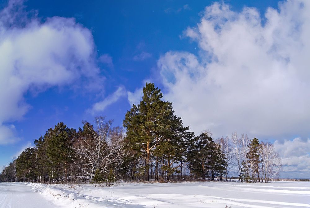 Придорожная