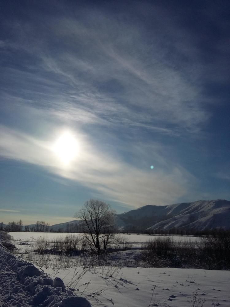 за тарханкой
