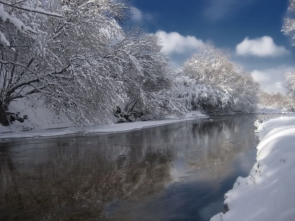 Зимнее великолепие.