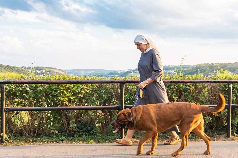 Вечерняя прогулка