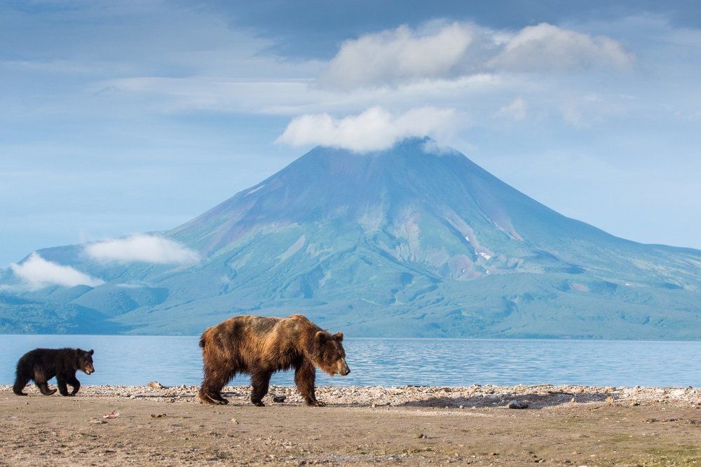 Типичная Камчатка