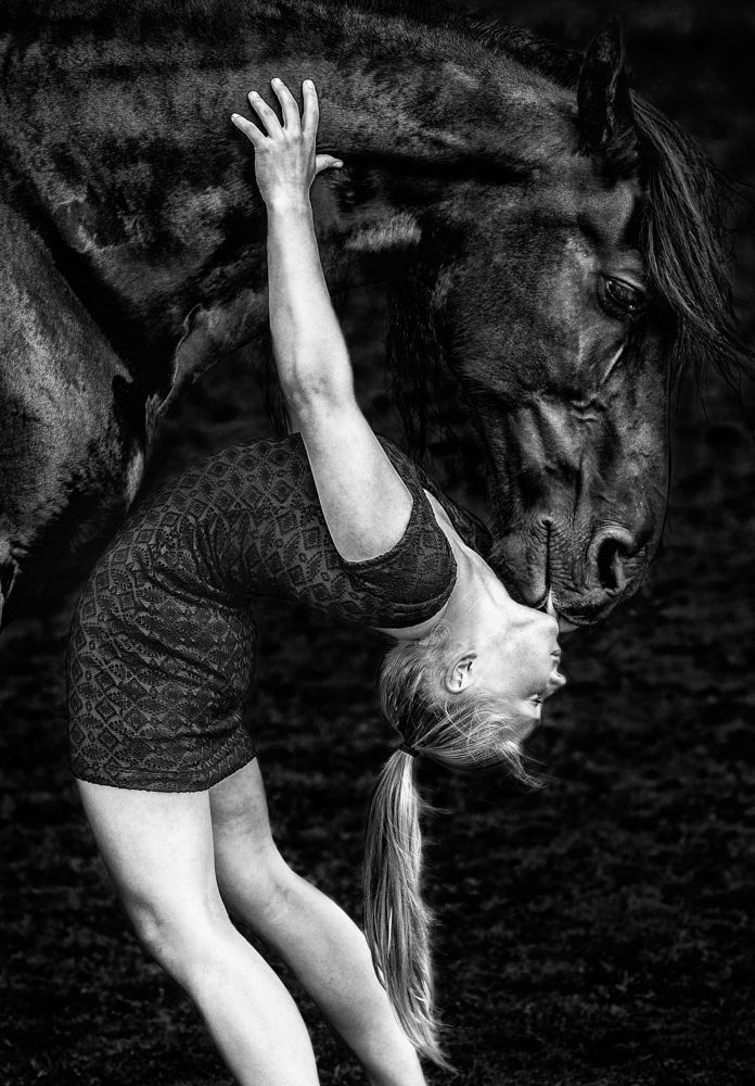 The Kissing Horse and Ilja