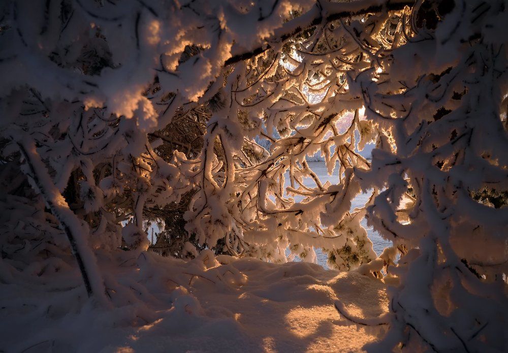 Зимний этюд