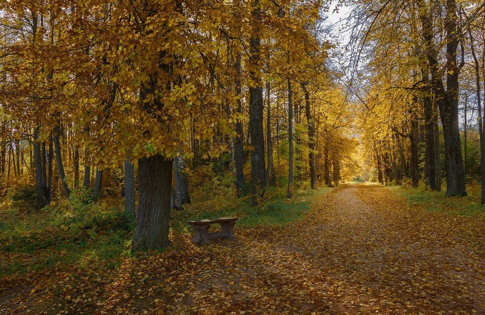 позови меня в даль светлую
