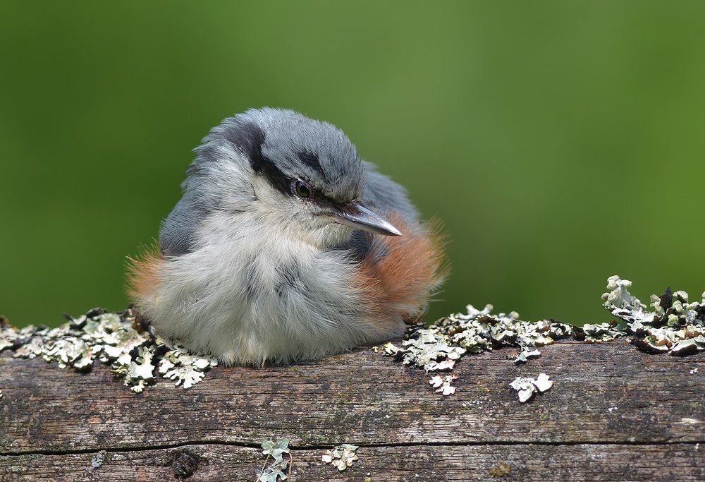 Намотался...