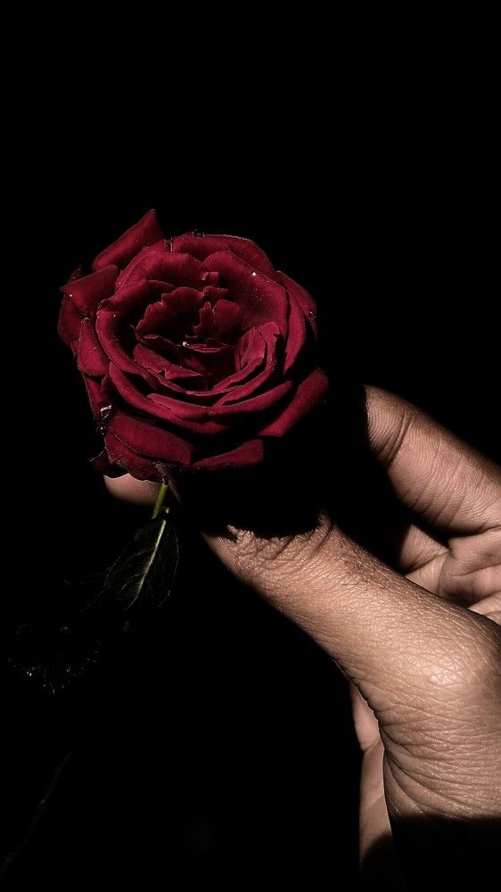 Dark Romantic Flower